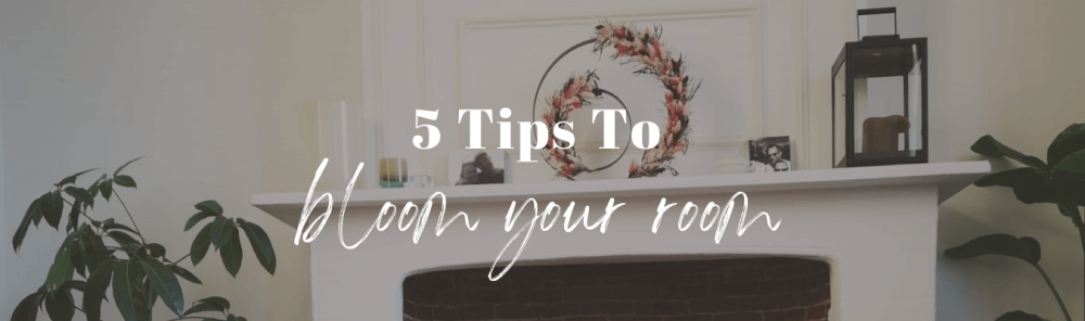 5 Tips To Bloom Your Room